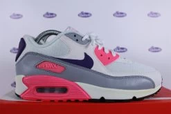 Nike Air Max 90 Concord Suede