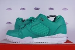 Nike Air Trainer 2 PRM Crystal Mint QS -Sneaker Verkoop Nike Air trainer 2 PRM Crystal Mint QS 43 5
