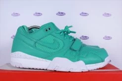 Nike Air Trainer 2 PRM Crystal Mint QS